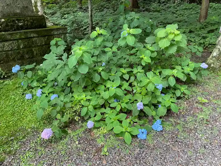 戸隠神社宝光社(長野県)