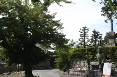 くろ谷 金戒光明寺(京都府)