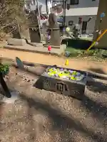 冨士浅間神社の{uncategorized: "未分類", other: "その他", undefined: "問題あり", building: "その他建物", grave: "お墓", sacred_gate: "鳥居", guardian: "狛犬", statue: "像", buddha: "仏像", history: "歴史", nature: "自然", garden: "庭園", animal: "動物", pagoda: "塔", temizu: "手水舎", mountain_gate: "山門・神門", sanctuary: "本殿・本堂", subordinate: "末社・摂社", art: "芸術", scenery: "景色", jizo: "地蔵", ema: "絵馬", goshuin: "御朱印", omikuji: "おみくじ", items: "授与品その他", amulet: "お守り", goshuincho: "御朱印帳", eats: "食事", festival: "お祭り", votive_dance: "神楽", shichigosan: "七五三参", wedding: "結婚式", experience: "体験その他", initially: "初詣", around: "周辺", anti_infection: "感染症対策"}