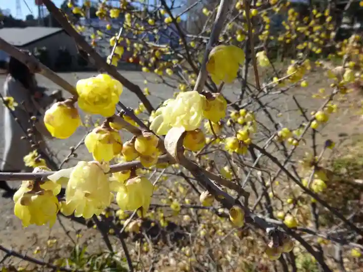 横浜 西方寺(神奈川県)