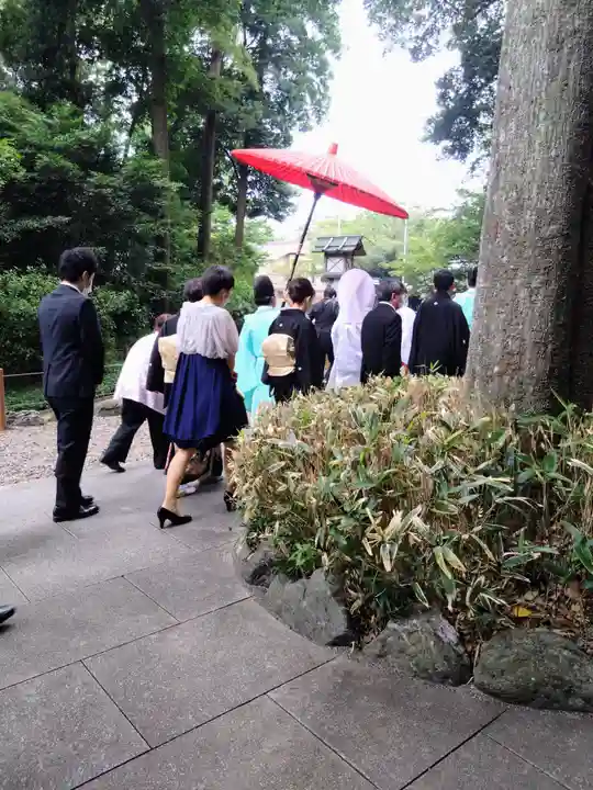 櫻木神社(千葉県)