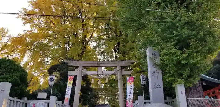 葛西神社の鳥居