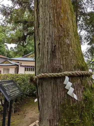 大縣神社(愛知県)