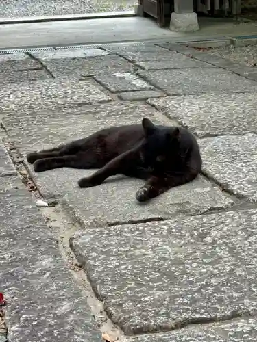 西梅津神明社(京都府)