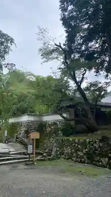 園城寺（三井寺）(滋賀県)