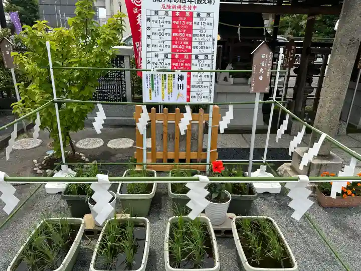 亀戸浅間神社(東京都)