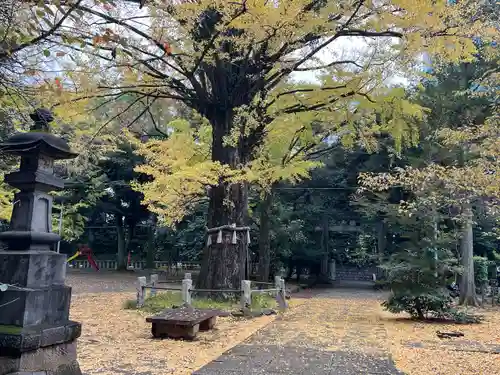 赤坂氷川神社(東京都)