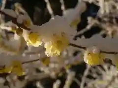 清水寺(栃木県)