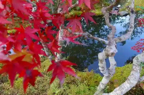 興福寺の庭園