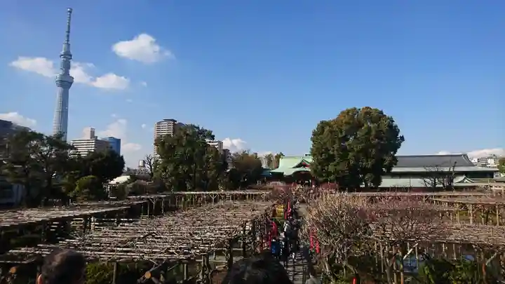 亀戸天神社(東京都)
