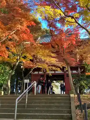 本土寺(千葉県)