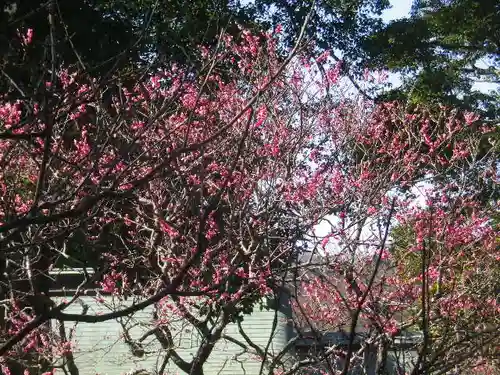 荏柄天神社のその他建物