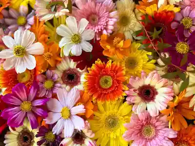 札幌諏訪神社の手水舎