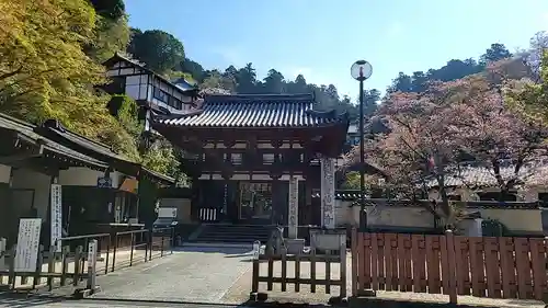 岡寺（龍蓋寺）(奈良県)