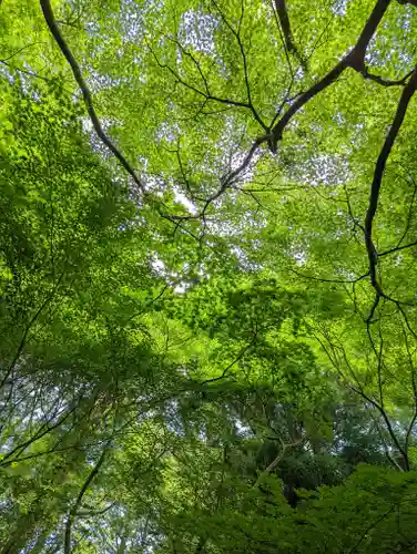 光明寺瑠璃光院(京都府)