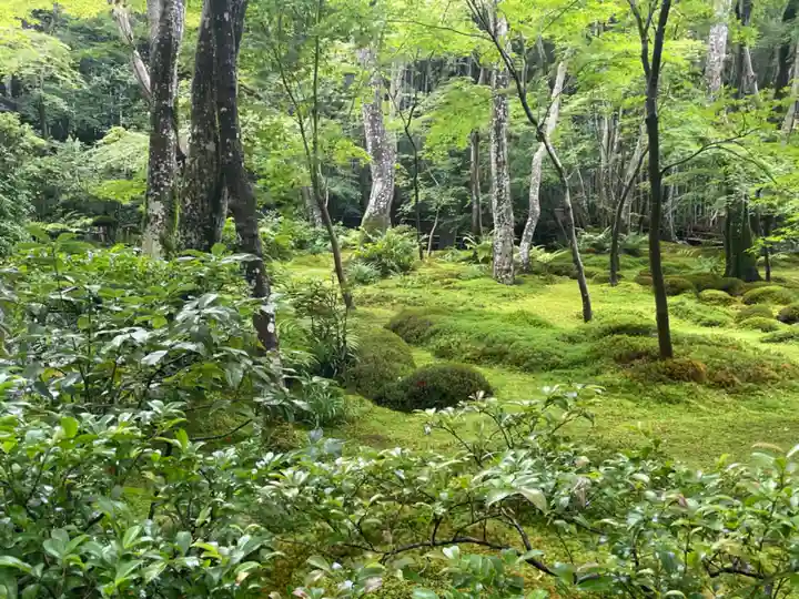 祇王寺(京都府)