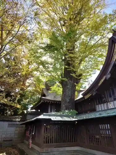 麻賀多神社のその他建物