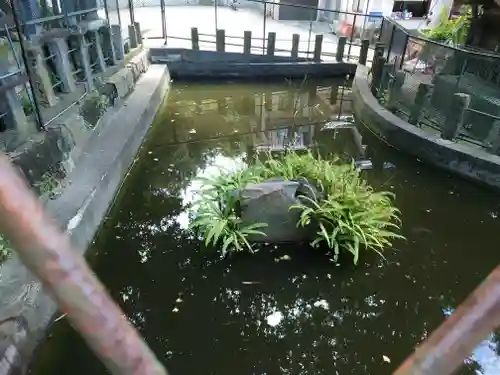 海南神社(神奈川県)