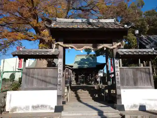 遍照院の山門