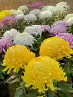 蚊里田八幡宮(長野県)