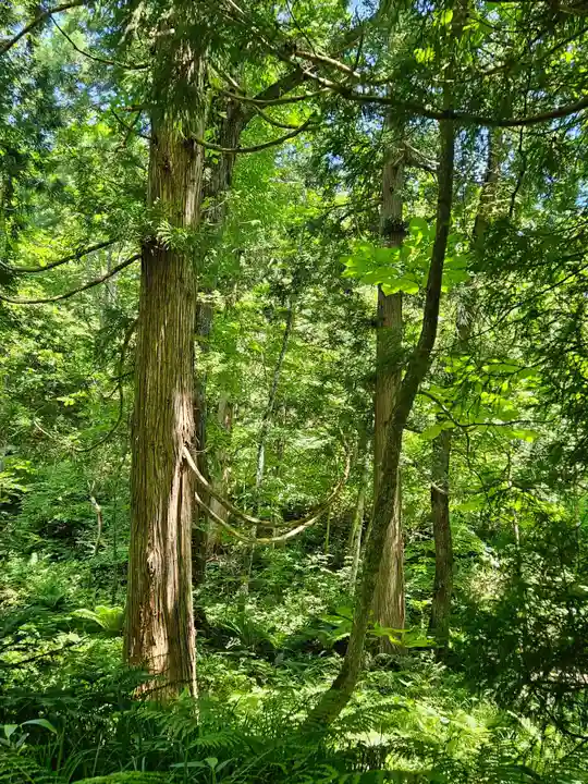 戸隠神社奥社(長野県)