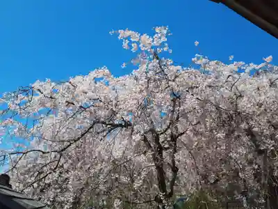 源正寺(秋田県)