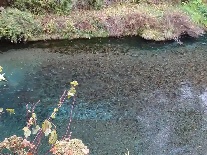 神橋(二荒山神社)(栃木県)