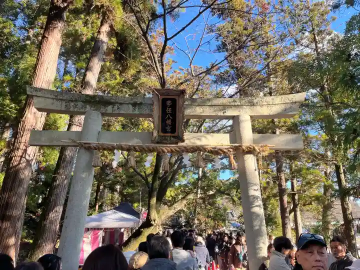 事任八幡宮の{uncategorized: "未分類", other: "その他", undefined: "問題あり", building: "その他建物", grave: "お墓", sacred_gate: "鳥居", guardian: "狛犬", statue: "像", buddha: "仏像", history: "歴史", nature: "自然", garden: "庭園", animal: "動物", pagoda: "塔", temizu: "手水舎", mountain_gate: "山門・神門", sanctuary: "本殿・本堂", subordinate: "末社・摂社", art: "芸術", scenery: "景色", jizo: "地蔵", ema: "絵馬", goshuin: "御朱印", omikuji: "おみくじ", items: "授与品その他", amulet: "お守り", goshuincho: "御朱印帳", eats: "食事", festival: "お祭り", votive_dance: "神楽", shichigosan: "七五三参", wedding: "結婚式", experience: "体験その他", initially: "初詣", around: "周辺", anti_infection: "感染症対策"}