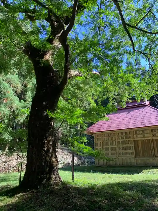 春日神社の自然