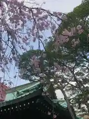 称名寺の自然