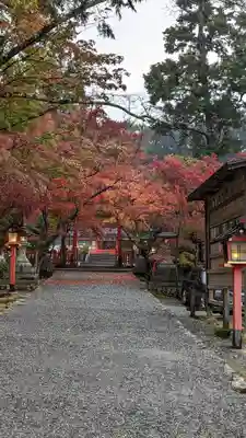 大原野神社(京都府)