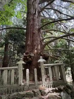 五百井神社の{uncategorized: "未分類", other: "その他", undefined: "問題あり", building: "その他建物", grave: "お墓", sacred_gate: "鳥居", guardian: "狛犬", statue: "像", buddha: "仏像", history: "歴史", nature: "自然", garden: "庭園", animal: "動物", pagoda: "塔", temizu: "手水舎", mountain_gate: "山門・神門", sanctuary: "本殿・本堂", subordinate: "末社・摂社", art: "芸術", scenery: "景色", jizo: "地蔵", ema: "絵馬", goshuin: "御朱印", omikuji: "おみくじ", items: "授与品その他", amulet: "お守り", goshuincho: "御朱印帳", eats: "食事", festival: "お祭り", votive_dance: "神楽", shichigosan: "七五三参", wedding: "結婚式", experience: "体験その他", initially: "初詣", around: "周辺", anti_infection: "感染症対策"}