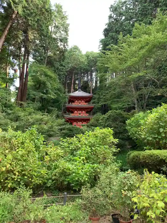 岩船寺の庭園
