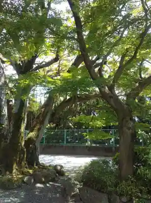 佛現寺(静岡県)