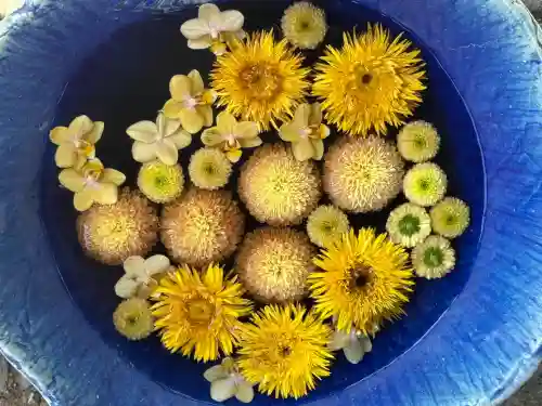 川越八幡宮(埼玉県)