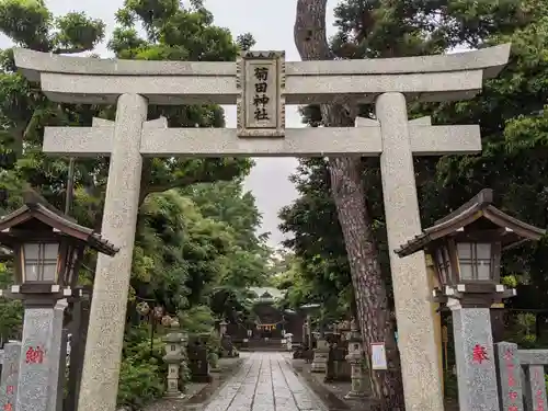 菊田神社の鳥居