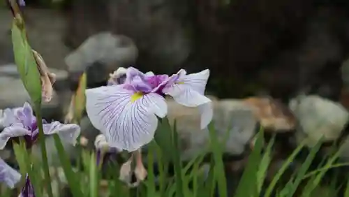 総持寺(大阪府)