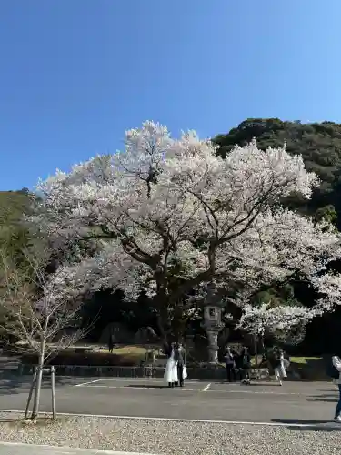 岐阜護國神社の{uncategorized: "未分類", other: "その他", undefined: "問題あり", building: "その他建物", grave: "お墓", sacred_gate: "鳥居", guardian: "狛犬", statue: "像", buddha: "仏像", history: "歴史", nature: "自然", garden: "庭園", animal: "動物", pagoda: "塔", temizu: "手水舎", mountain_gate: "山門・神門", sanctuary: "本殿・本堂", subordinate: "末社・摂社", art: "芸術", scenery: "景色", jizo: "地蔵", ema: "絵馬", goshuin: "御朱印", omikuji: "おみくじ", items: "授与品その他", amulet: "お守り", goshuincho: "御朱印帳", eats: "食事", festival: "お祭り", votive_dance: "神楽", shichigosan: "七五三参", wedding: "結婚式", experience: "体験その他", initially: "初詣", around: "周辺", anti_infection: "感染症対策"}