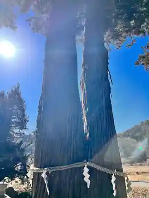 高司神社〜むすびの神の鎮まる社〜(福島県)