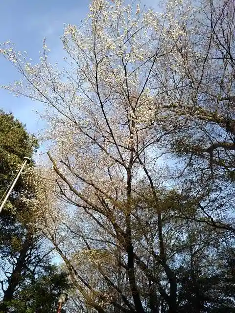 小平神明宮の庭園