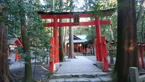 椿大神社の鳥居