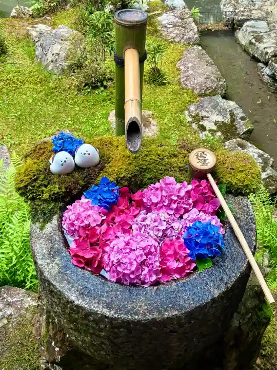 柳谷観音 楊谷寺(京都府)