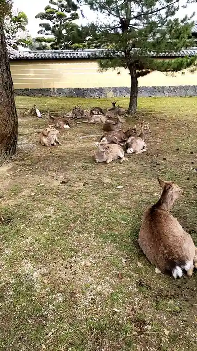 東大寺 二月堂(奈良県)
