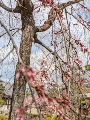蓮華王院（三十三間堂）(京都府)