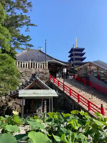 中山寺(兵庫県)