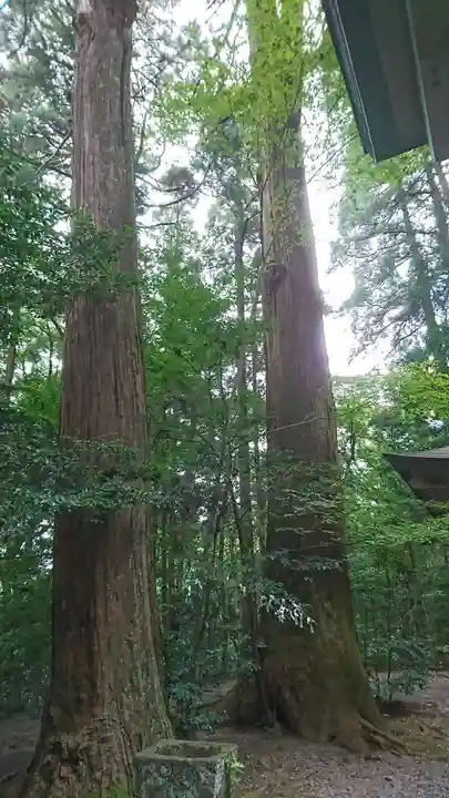槵觸神社の自然