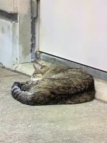 白金氷川神社(東京都)