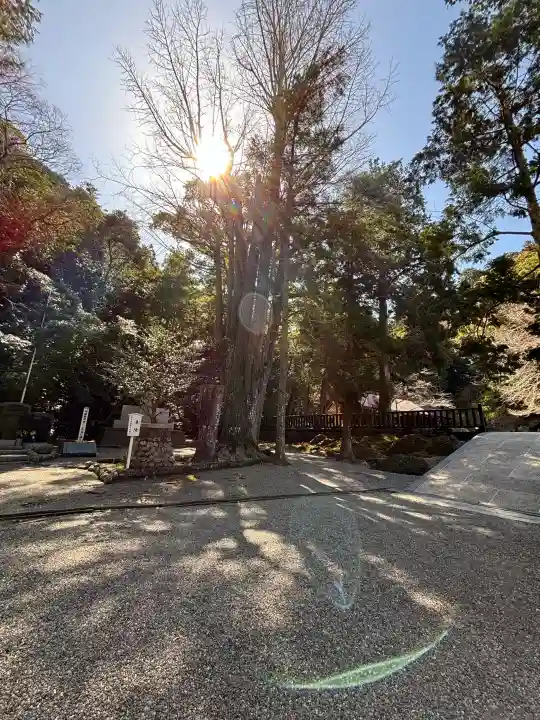 安房神社の{uncategorized: "未分類", other: "その他", undefined: "問題あり", building: "その他建物", grave: "お墓", sacred_gate: "鳥居", guardian: "狛犬", statue: "像", buddha: "仏像", history: "歴史", nature: "自然", garden: "庭園", animal: "動物", pagoda: "塔", temizu: "手水舎", mountain_gate: "山門・神門", sanctuary: "本殿・本堂", subordinate: "末社・摂社", art: "芸術", scenery: "景色", jizo: "地蔵", ema: "絵馬", goshuin: "御朱印", omikuji: "おみくじ", items: "授与品その他", amulet: "お守り", goshuincho: "御朱印帳", eats: "食事", festival: "お祭り", votive_dance: "神楽", shichigosan: "七五三参", wedding: "結婚式", experience: "体験その他", initially: "初詣", around: "周辺", anti_infection: "感染症対策"}