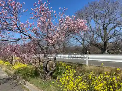 國津比古命神社(愛媛県)