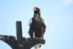 宝光寺(北海道)(2023年12月29日(金) 08時25分25秒投稿)